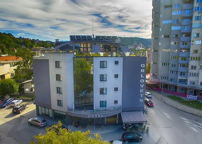 Orlovetz 호텔 *